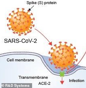 COVID-19: Novel Coronavirus May Be Transmitted Through The Eye, New Studies Find